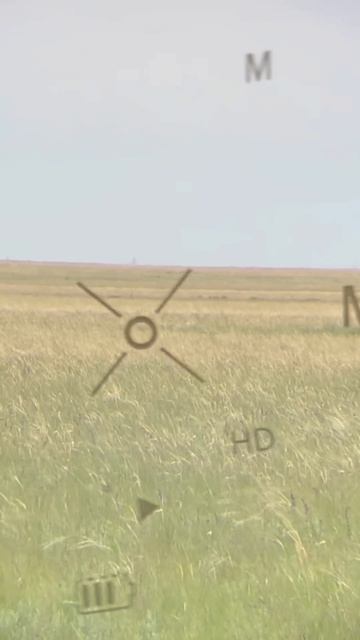 Наблюдаю за сурками, бинокль с дальномером #hunting смотреть онлайн