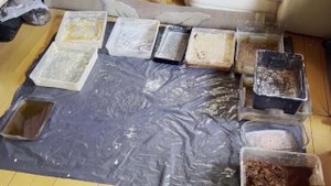 В Московской области ликвидированы две нарколаборатории