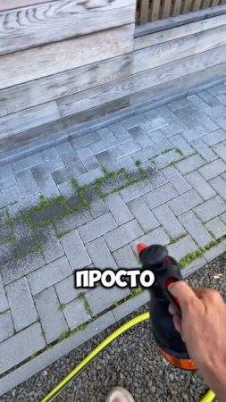 Бой сорнякам на дорожках! #ландшафт #участок #брусчатка #дорожка #сад #огород