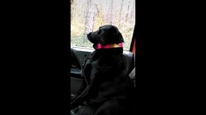 СМОТРЕТЬ ВИДЕО ПРИКОЛЫ 2025 ПОД НОМЕРОМ 7