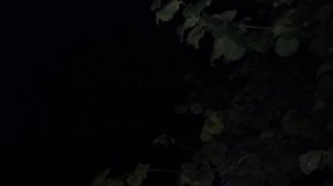 Жутко ночью на улице ходить