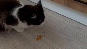 три корочки хлеба
