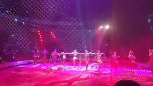 Большой Московский Государственный Цирк и100рия