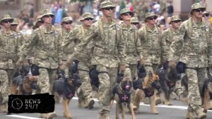 МИД предупредил Болгарию об ответе на решение объявить РФ "спонсором терроризма"