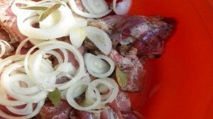 Быстрый маринад для шашлыка