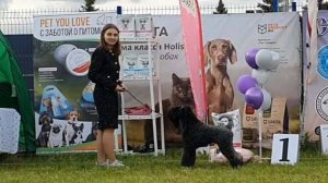 31.05.2025, Псков. Клуб КСиДС (РКФ, РФСС). Открытый конкурс "ШОУ ЧЕМПИОНОВ"