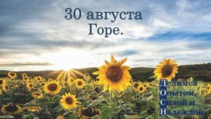 30 августа. Горе.