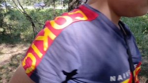 строим домик на дереве день 1