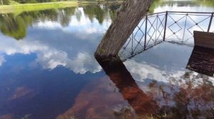 Набережная реки Луга, г. Луга, июль 2025г.