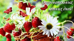 Просто чудесное видео!!!! Хорошая музыка и песня поднимут настроение!