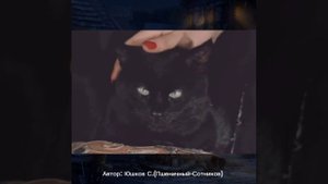 Песня "Мурка" Кавер Пшеничный-Сотников