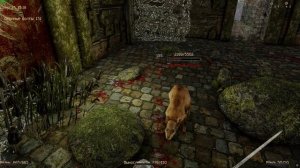 Gothic 2 2025.07.30 - 12.07.13.05