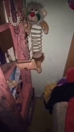 Владелица дома в Мексике засняла активность полтергейста