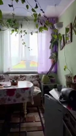 КАМЧАТКУ СИЛЬНО ПОТРЯСЛО! 30.07.2025