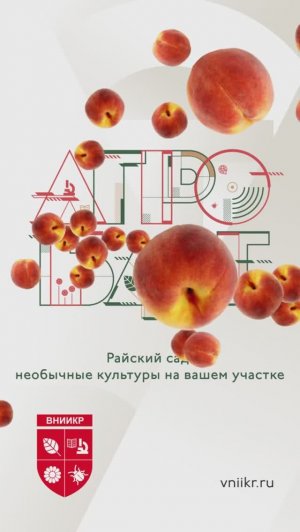 Райский сад: необычные культуры на вашем участке
