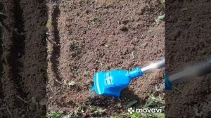 Садово-огородные работы