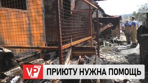 В ВОЛГОГРАДЕ СГОРЕЛ ПРИЮТ ДЛЯ СОБАК И КОШЕК: НУЖНА СРОЧНАЯ ПОМОЩЬ