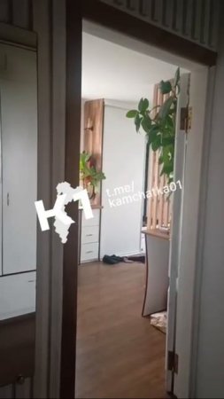 ⚡ Очевидцы сняли землетрясение на Камчатке! Люди в панике бегут, волна накрывает берег