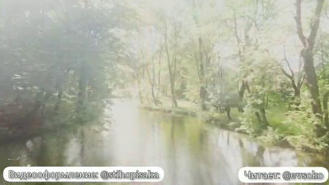 "Мне нравилась девушка в белом". смотреть онлайн