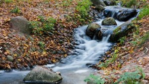 Песня журчащего ручейка. Музыка нейросети, монтаж Татьяны Пантелеевой.