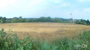 БЫСТРЫЙ КОП.