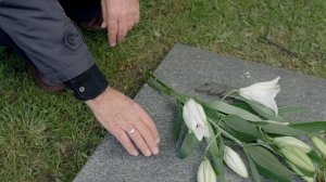 9644040-hd_1920_1080_25fps