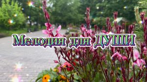 Музыка для души. Прекрасное фортепиано