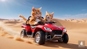 Котики в пустыне