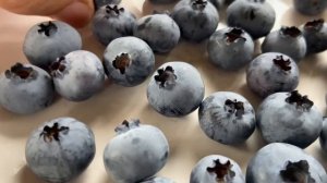 Голубика Торо созрела