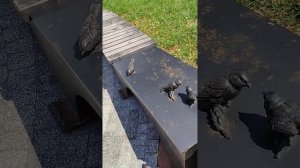 Чем интересна Хлебная площадь в Рязани?