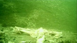 1000047719.mp4Волга нл.5м.30.07.2025г.