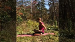 Комплекс упражнений саламба саравангасана