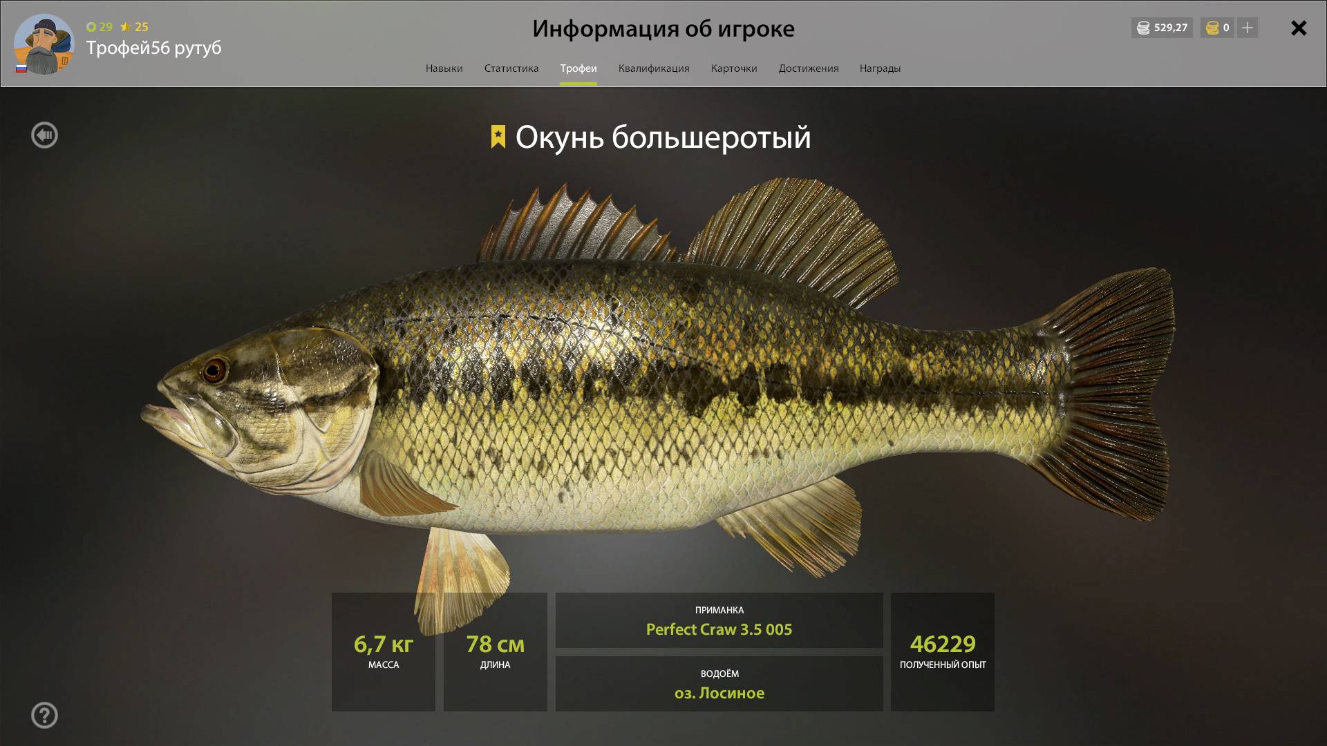 ТРОФЕЙ ОКУНЬ БОЛЬШЕРОТЫЙ!!!ЛОСИНОЕ - РУССКАЯ РЫБАЛКА 4