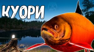 🔴 РР4/ рыбалка для души, ловим как универсал, общаемся 30.07.2025