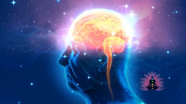 Программа Матрица П П Гаряева Эпилепсия Подлинная смотреть онлайн