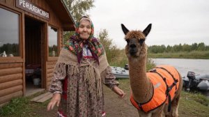 Аренда лодок и моторов в Питере #лодкипвх #лодки #моторы #лодкиспб #питер