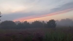 Туман на Коростельне. Вичугский район 28.07.2025