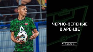 Чёрно-зелёные в аренде #18