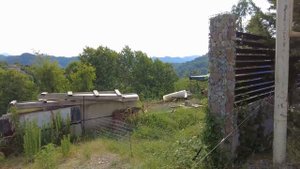 Сочи, Детляжка и окрестности, июль 2024г.