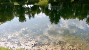 Новоспасский пруд. Цикл Старинные пруды России.