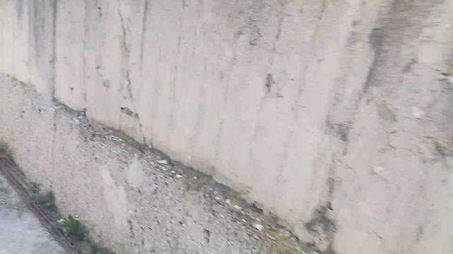 кролики крольчиха  крольчата смотреть онлайн