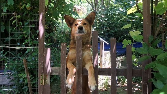 Встречай туристов Лазаревское 🌊🏖🐬🌞⛰️ Настальгируем по молодости 🤗 смотреть онлайн