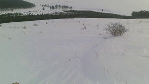 Охота на матёрых зайцев