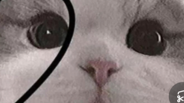 оооо смотреть онлайн