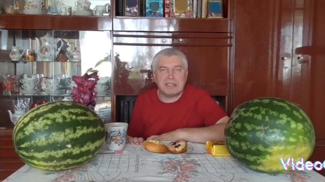 Мой старый пуп про Генадия Егорина смотреть онлайн