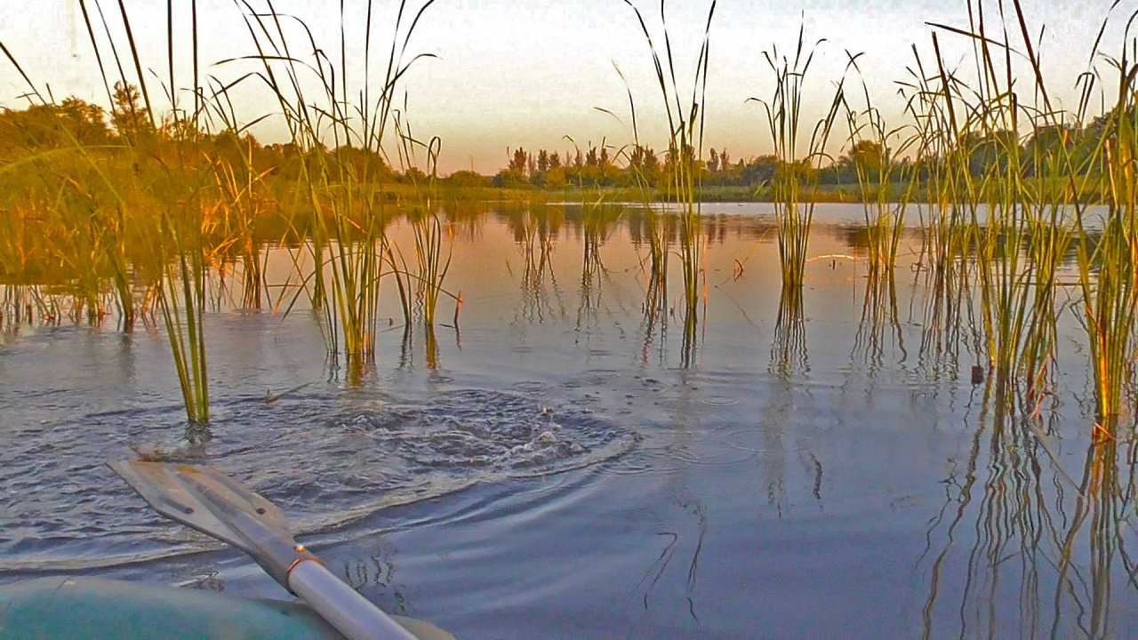 КРУПНЫЙ ЛИНЬ НА УДОЧКУ, ОДИН ЗА ДРУГИМ! ВОТ ЭТО УДАЧНАЯ РЫБАЛКА! Рыбалка на поплавок гусиное перо смотреть онлайн