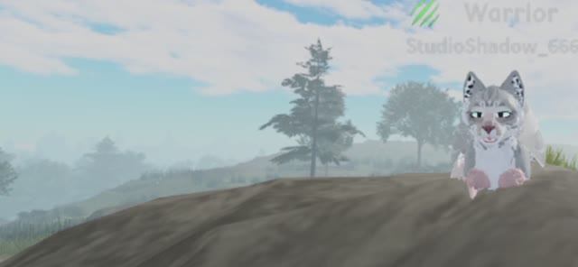 ВОПРОС - ОТВЕТ И КОНКУРС АРТОВ ОТ ЭХО!!!