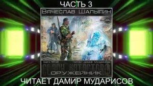 Вячеслав Шалыгин "Приключения Андрея Лунева" (книга 5) "Оружейник" (часть 3)