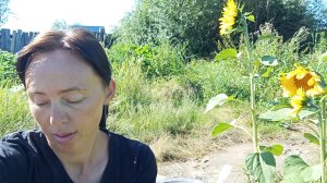 Накопала картошечки.Подарок на день ЖД.