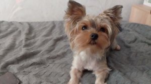 , пошла жара!!!!!!!!!!!!